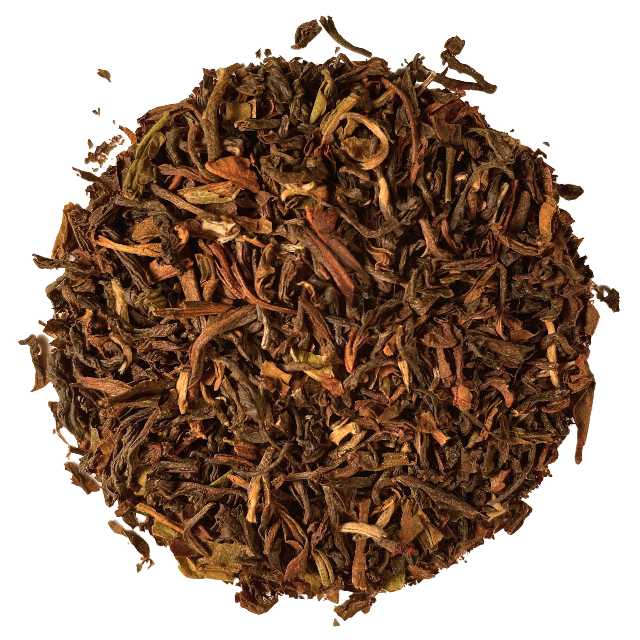 Darjeeling: Margaret's Hope Estate