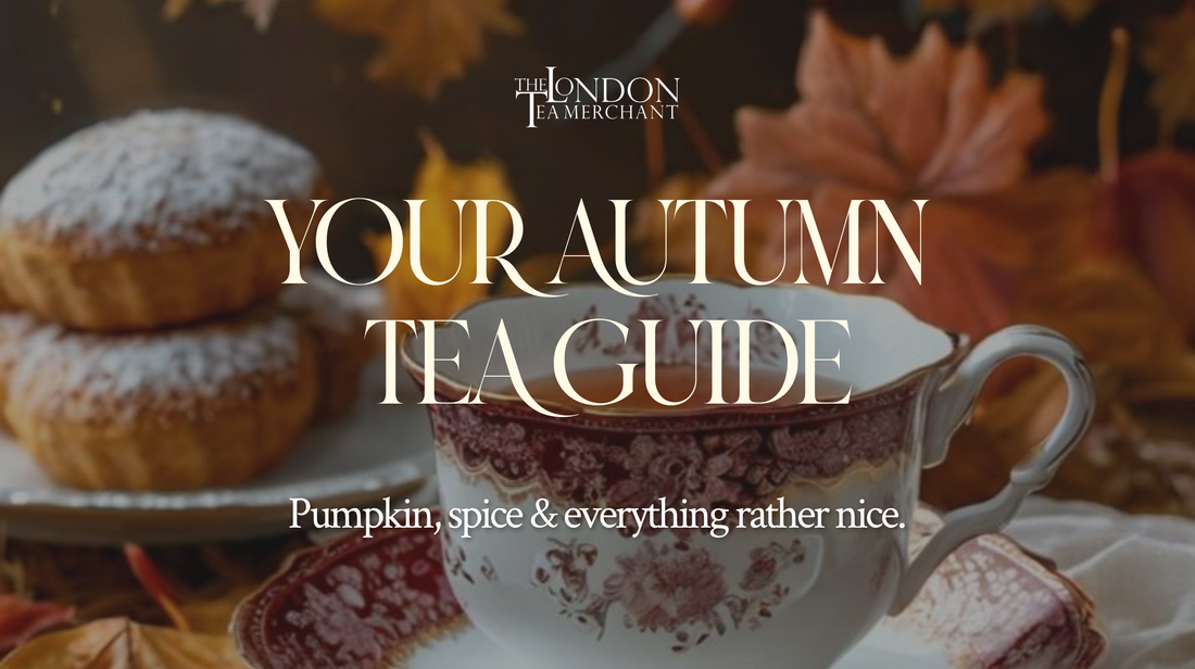 The Ultimate Guide to Fall Teas: Best Autumn Teas & Brewing Tips